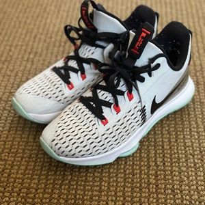 LeBron witness 5 ‘Pure Platinum Light Dew’ size 9 in men’s